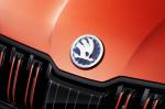 Skoda Mountiaq Concept 2019 года